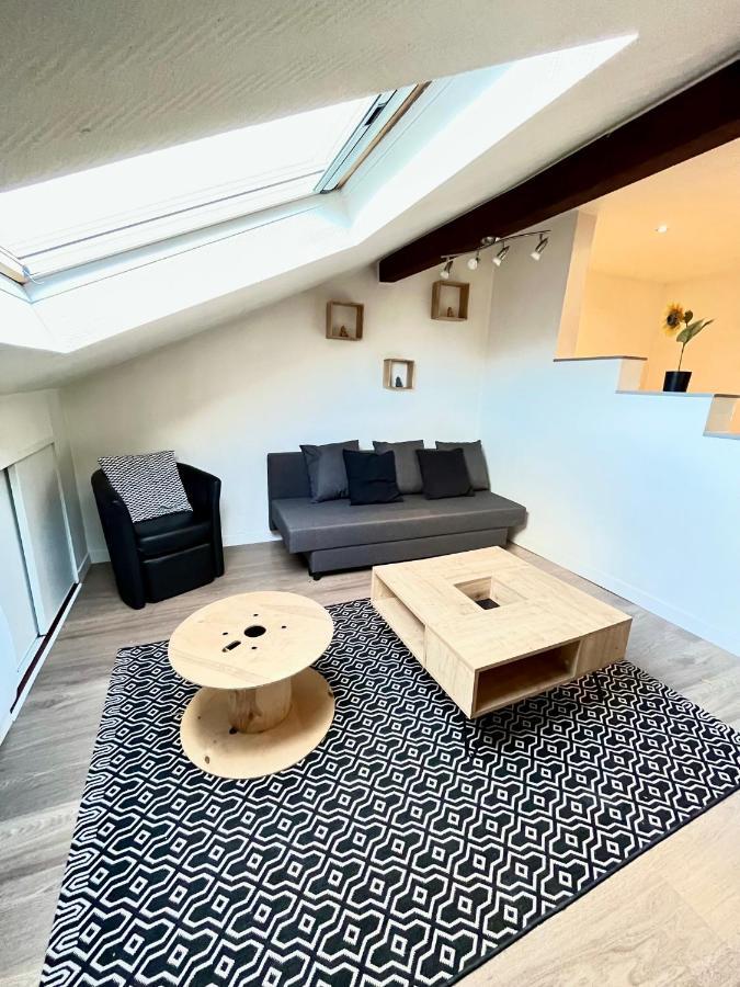 Pin'S - Magnifique Appartement Саарбург Экстерьер фото